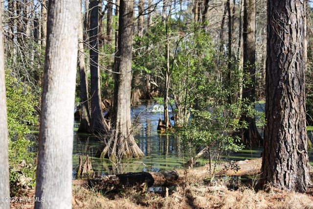 167 Hydrangea Lane, Hampstead, NC 28443