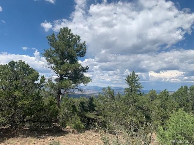 188 Looters Lane, Westcliffe, CO 81252