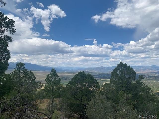 188 Looters Lane, Westcliffe, CO 81252