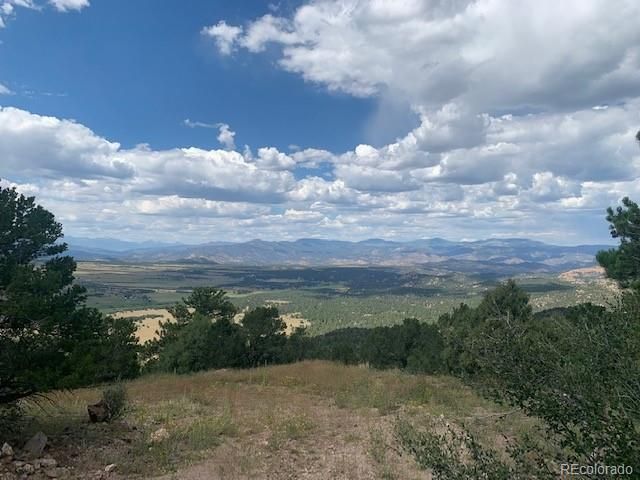 188 Looters Lane, Westcliffe, CO 81252