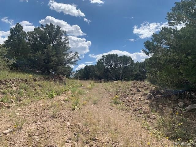 188 Looters Lane, Westcliffe, CO 81252