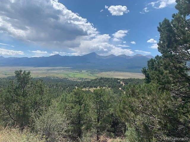 188 Looters Lane, Westcliffe, CO 81252