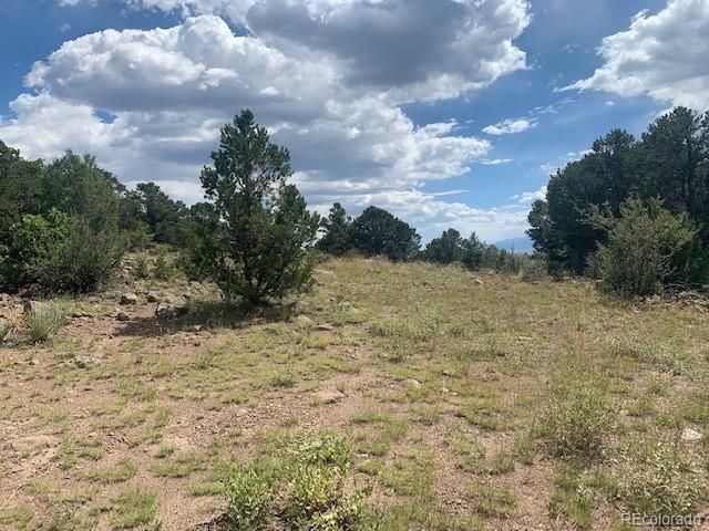 188 Looters Lane, Westcliffe, CO 81252