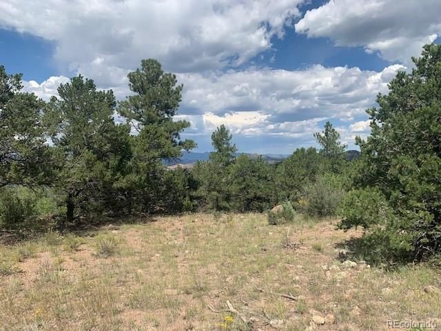 188 Looters Lane, Westcliffe, CO 81252