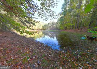 21.6 ACRES Wadley Street #3, Greenville, GA 30222