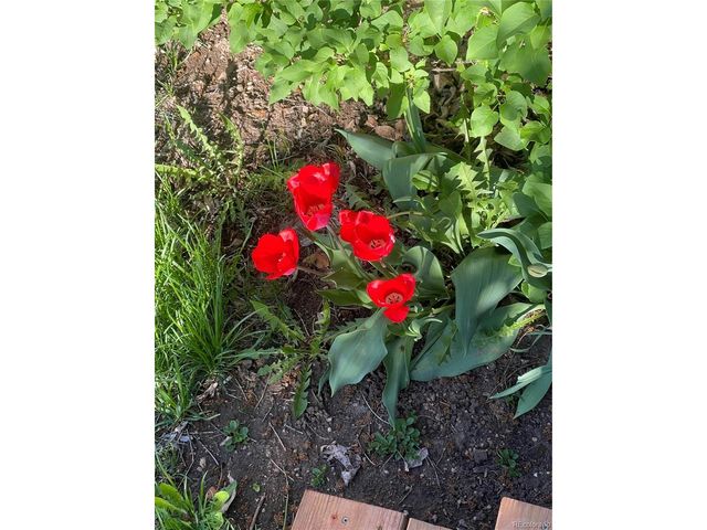 6139 S Adams Dr, Centennial, CO 80121