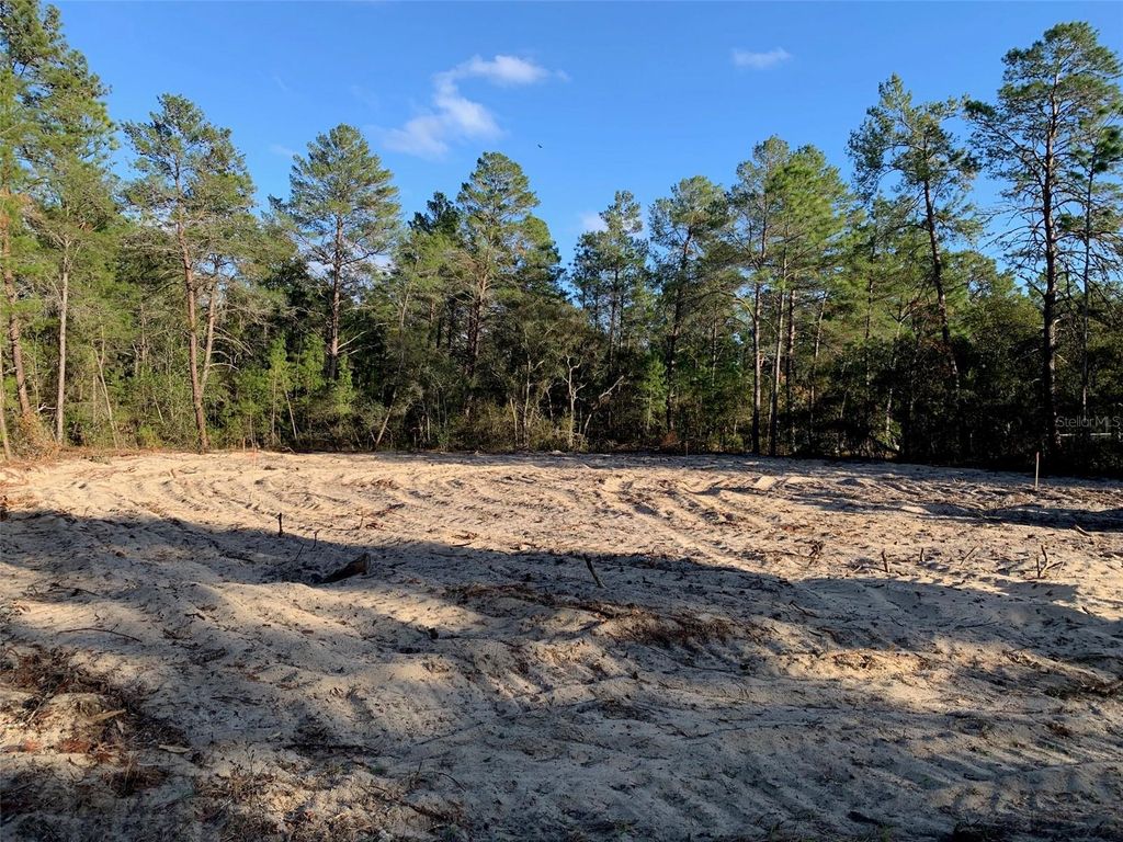 Image 2 of property listing at 6125 N CANYON DRIVE, Beverly Hills, FL 34465