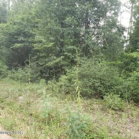 xxx Foxworth Road, Chipley, FL 32428