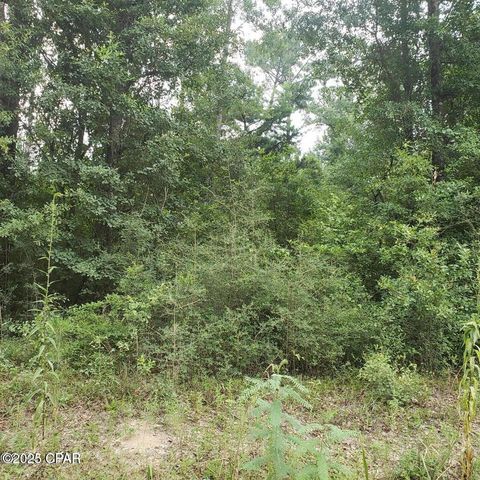xxx Foxworth Road, Chipley, FL 32428