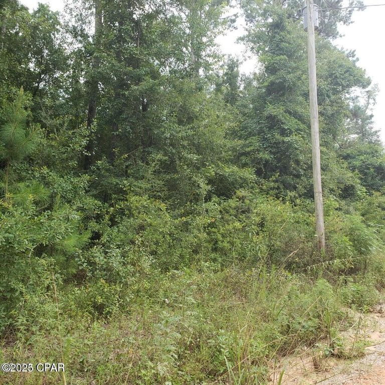 xxx Foxworth Road, Chipley, FL 32428