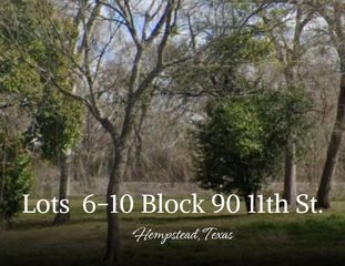 Lots 6,7,8,9,10 Block 90 Located On 11th Street, Hempstead, TX 77445