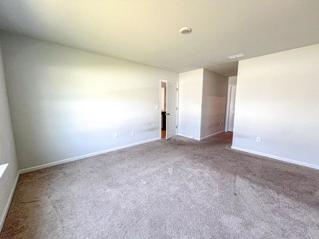 339 Spruce Pine Way, Conway, SC 29526