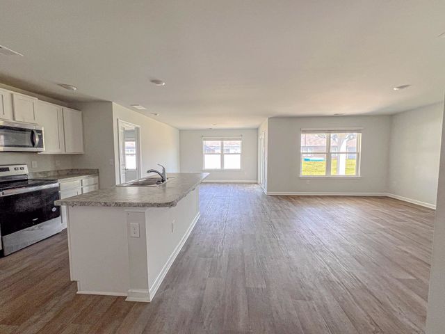 339 Spruce Pine Way, Conway, SC 29526