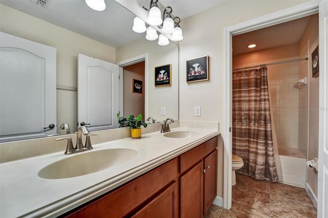 20420 AUTUMN FERN AVENUE, Tampa, FL 33647