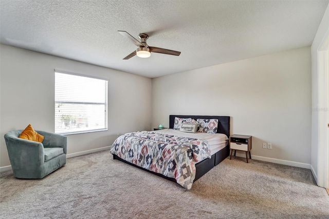 20420 AUTUMN FERN AVENUE, Tampa, FL 33647