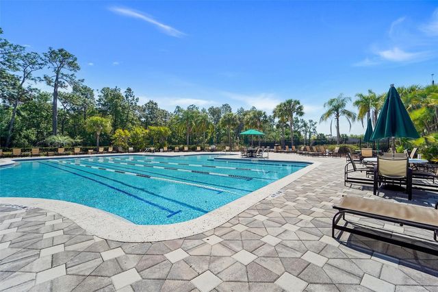 20420 AUTUMN FERN AVENUE, Tampa, FL 33647