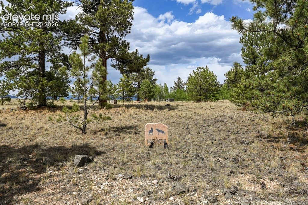614 Yellowstone Road, Hartsel, CO 80449 — photo 4