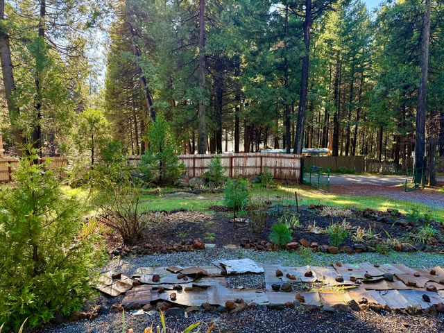 33250 Plateau Pines Road, Shingletown, CA 96088