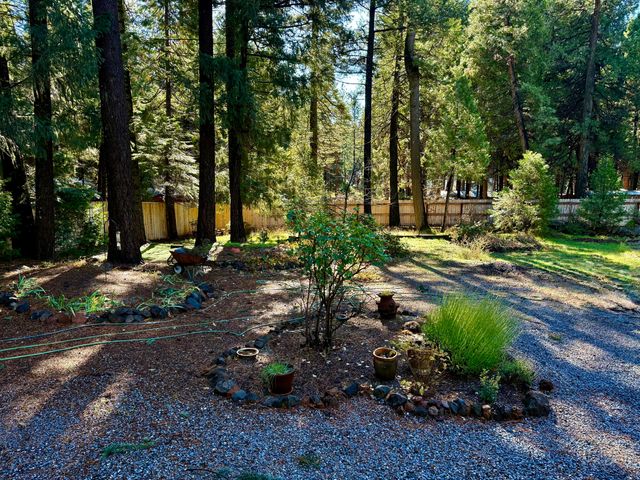 33250 Plateau Pines Road, Shingletown, CA 96088