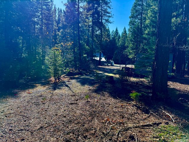 33250 Plateau Pines Road, Shingletown, CA 96088