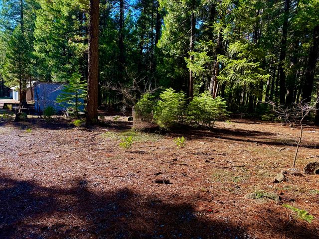 33250 Plateau Pines Road, Shingletown, CA 96088