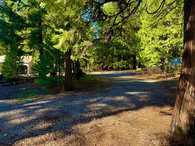 33250 Plateau Pines Road, Shingletown, CA 96088