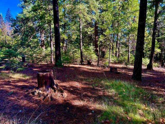 33250 Plateau Pines Road, Shingletown, CA 96088