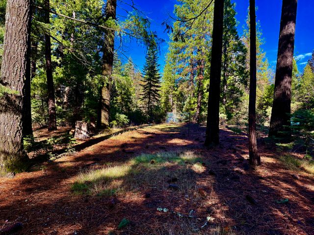 33250 Plateau Pines Road, Shingletown, CA 96088