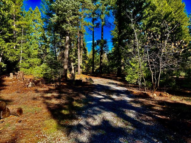 33250 Plateau Pines Road, Shingletown, CA 96088