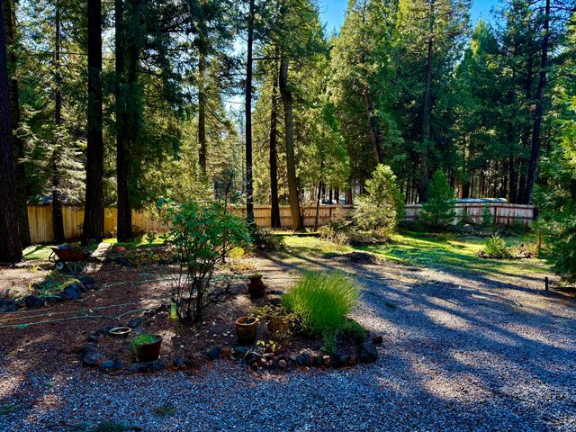 33250 Plateau Pines Road, Shingletown, CA 96088