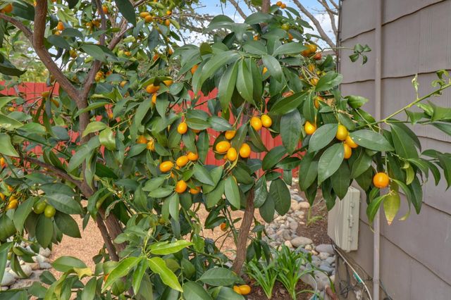 4240 55th St, Sacramento, CA 95820