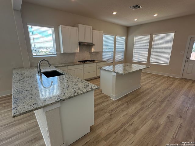 163 Abigail Alley, San Antonio, TX 78253
