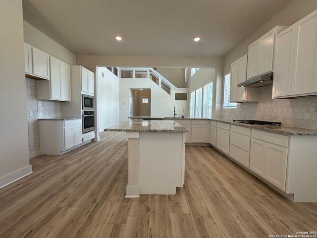 163 Abigail Alley, San Antonio, TX 78253