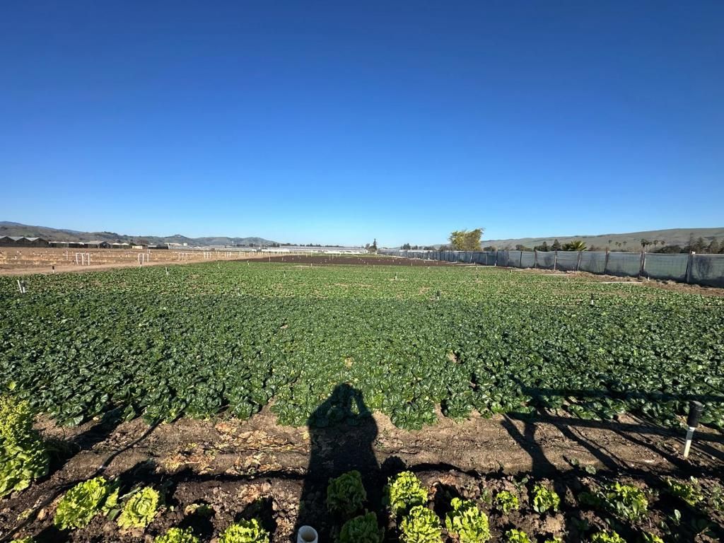 Image 10 of property listing at 155 San Bruno Avenue, Morgan Hill, CA 95037