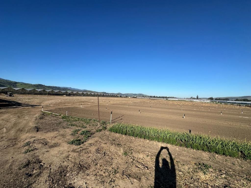 Image 12 of property listing at 155 San Bruno Avenue, Morgan Hill, CA 95037