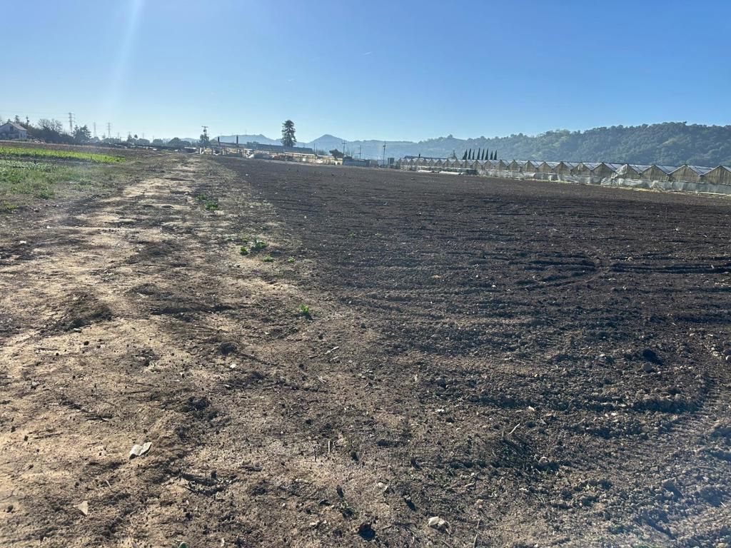 Image 16 of property listing at 155 San Bruno Avenue, Morgan Hill, CA 95037