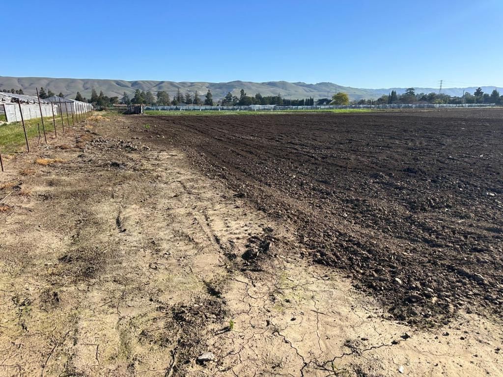 Image 17 of property listing at 155 San Bruno Avenue, Morgan Hill, CA 95037