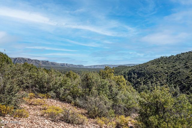 1442 W MUNSEE Drive, Payson, AZ 85541