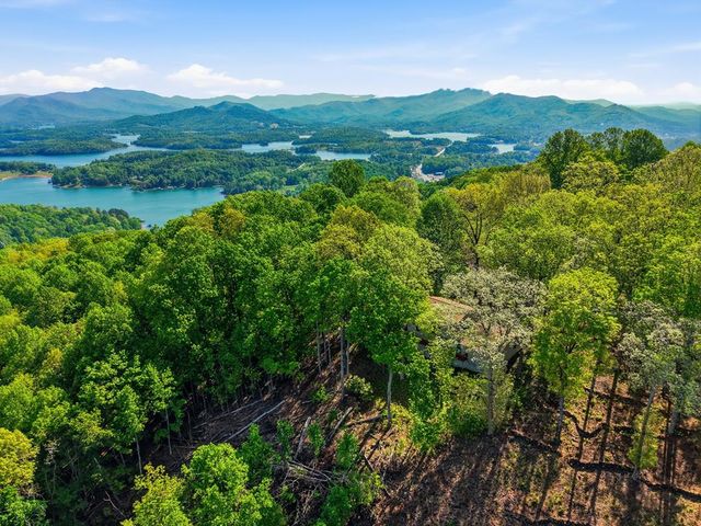 860 Frog Pond Road, Hiawassee, GA 30546
