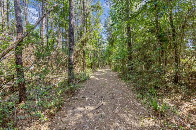 8987 Grand Lake Estates Drive, Montgomery, TX 77316