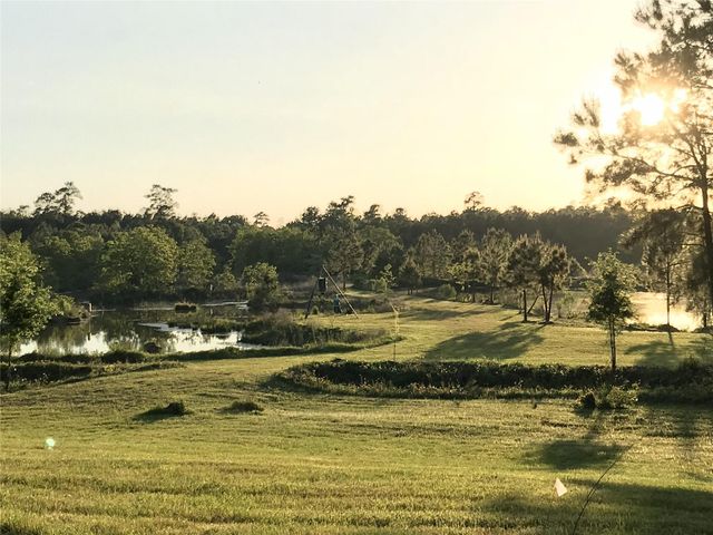 8987 Grand Lake Estates Drive, Montgomery, TX 77316