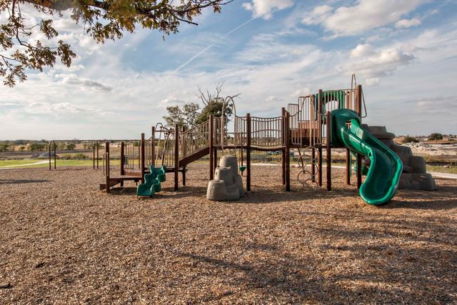 229 Belanger Canyon DR, Liberty Hill, TX 78642