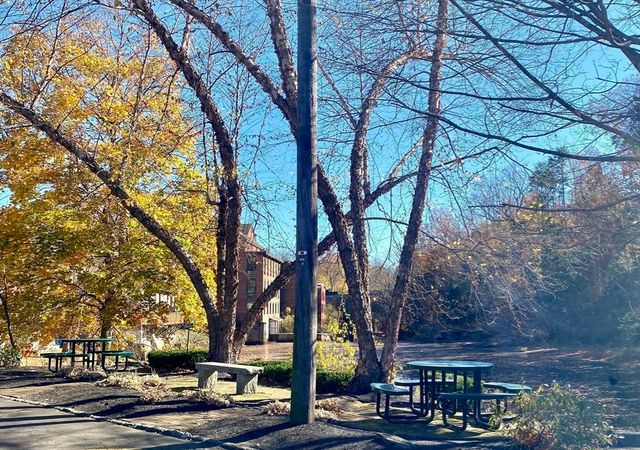 14 Sanford Road 29, Medway, MA 02053