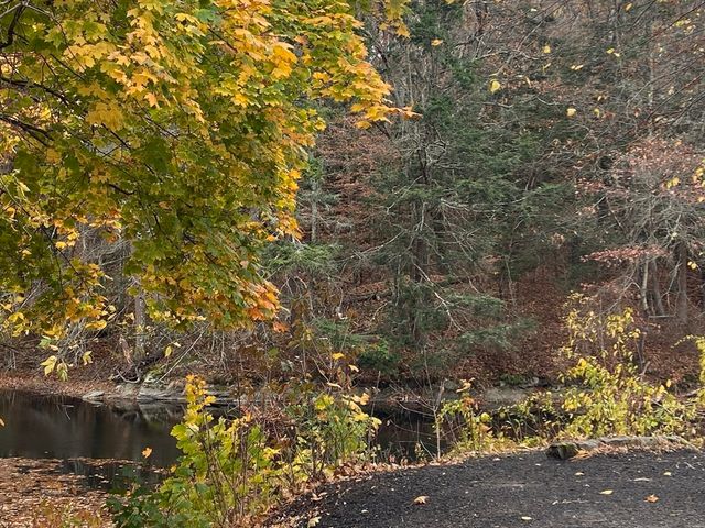 14 Sanford Road 29, Medway, MA 02053