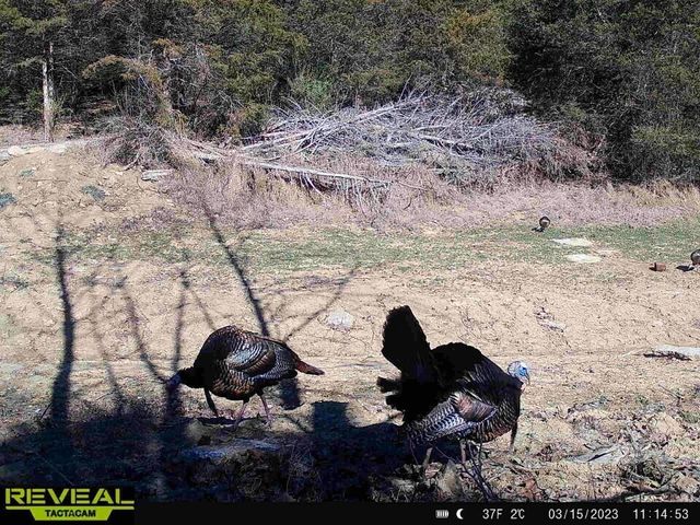 2460 Harp Pike, Frankfort, KY 40601