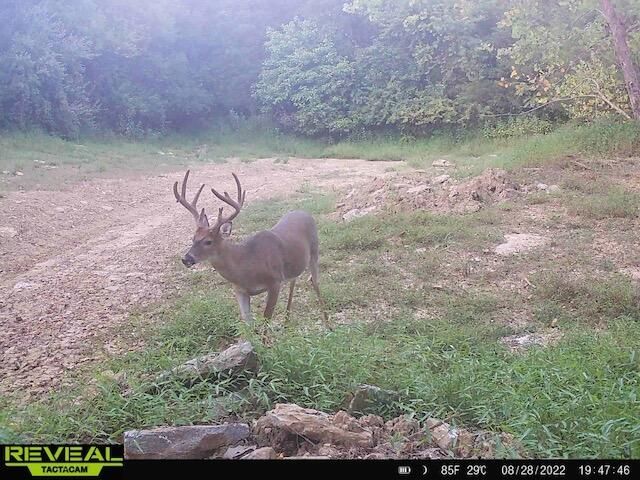 2460 Harp Pike, Frankfort, KY 40601