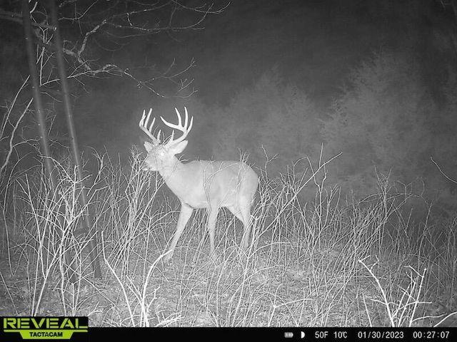 2460 Harp Pike, Frankfort, KY 40601