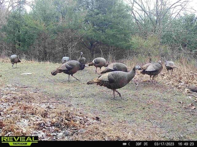 2460 Harp Pike, Frankfort, KY 40601