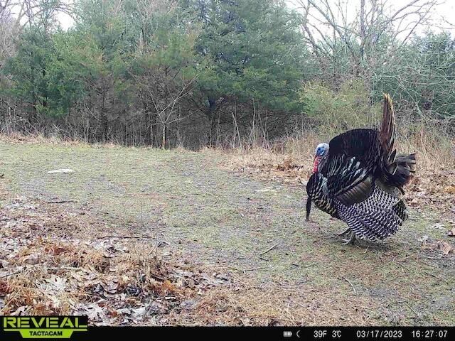 2460 Harp Pike, Frankfort, KY 40601