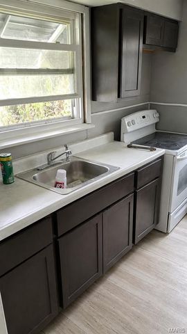19 N Harvey Avenue, Ferguson, MO 63135